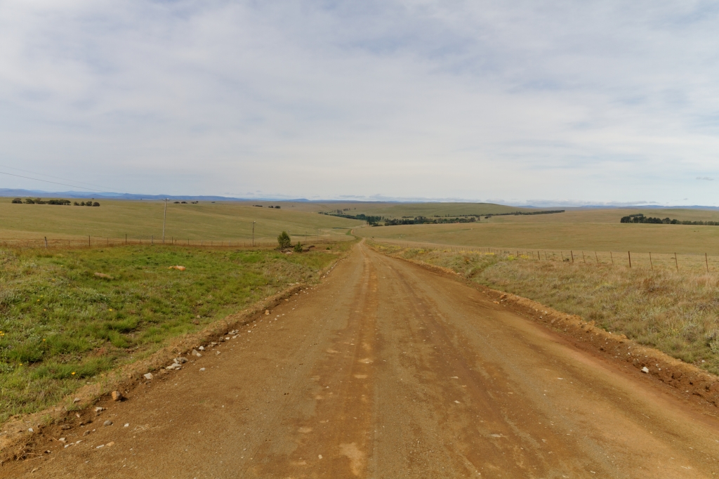 06 - Addo Elephant NP (28).jpg